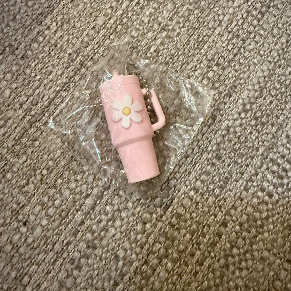Tumbler Stanley or car key keychain